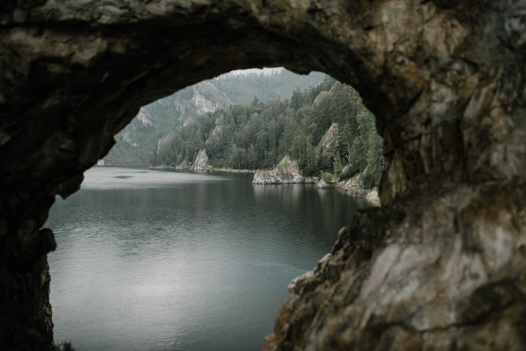 pexels julia volk 5665473